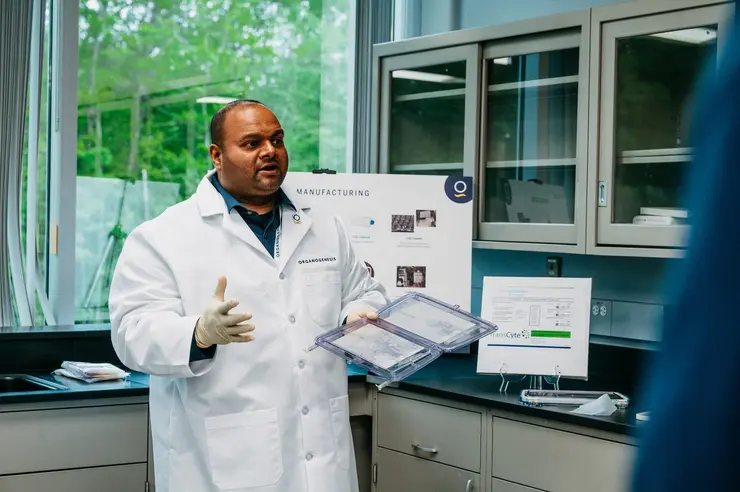 Laboratory scientist conducting bioengineering research
