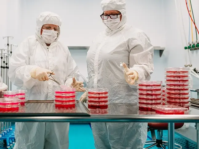 Research scientists working with laboratory equipment and petri dishes
